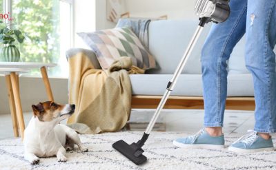 کدام جارو برقی برای جمع‌ کردن موی حیوانات خانگی بهتر است؟